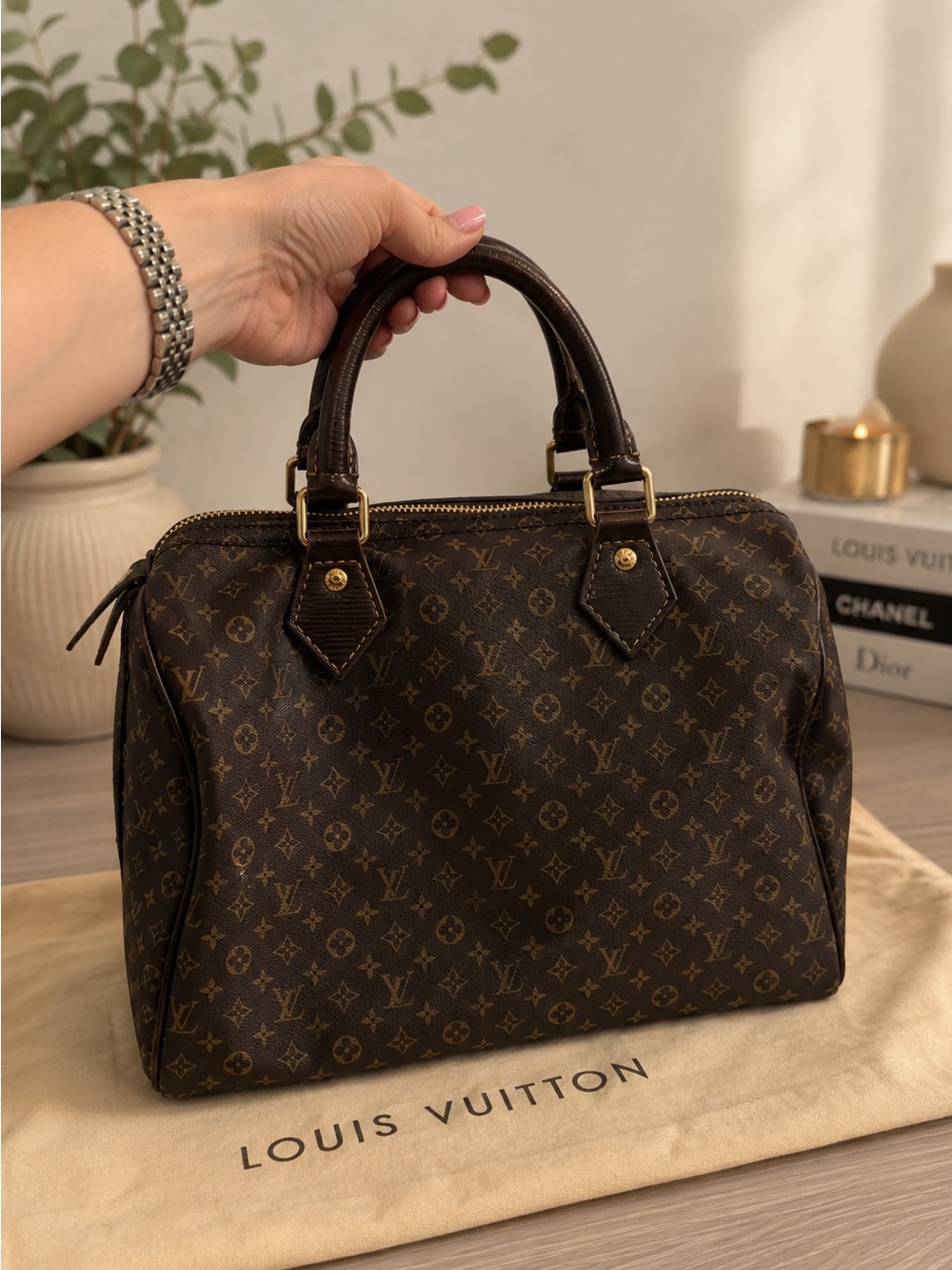 Louis Vuitton Monogram Mini Lin Speedy 30 in Ébène